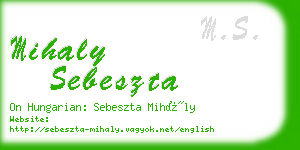 mihaly sebeszta business card